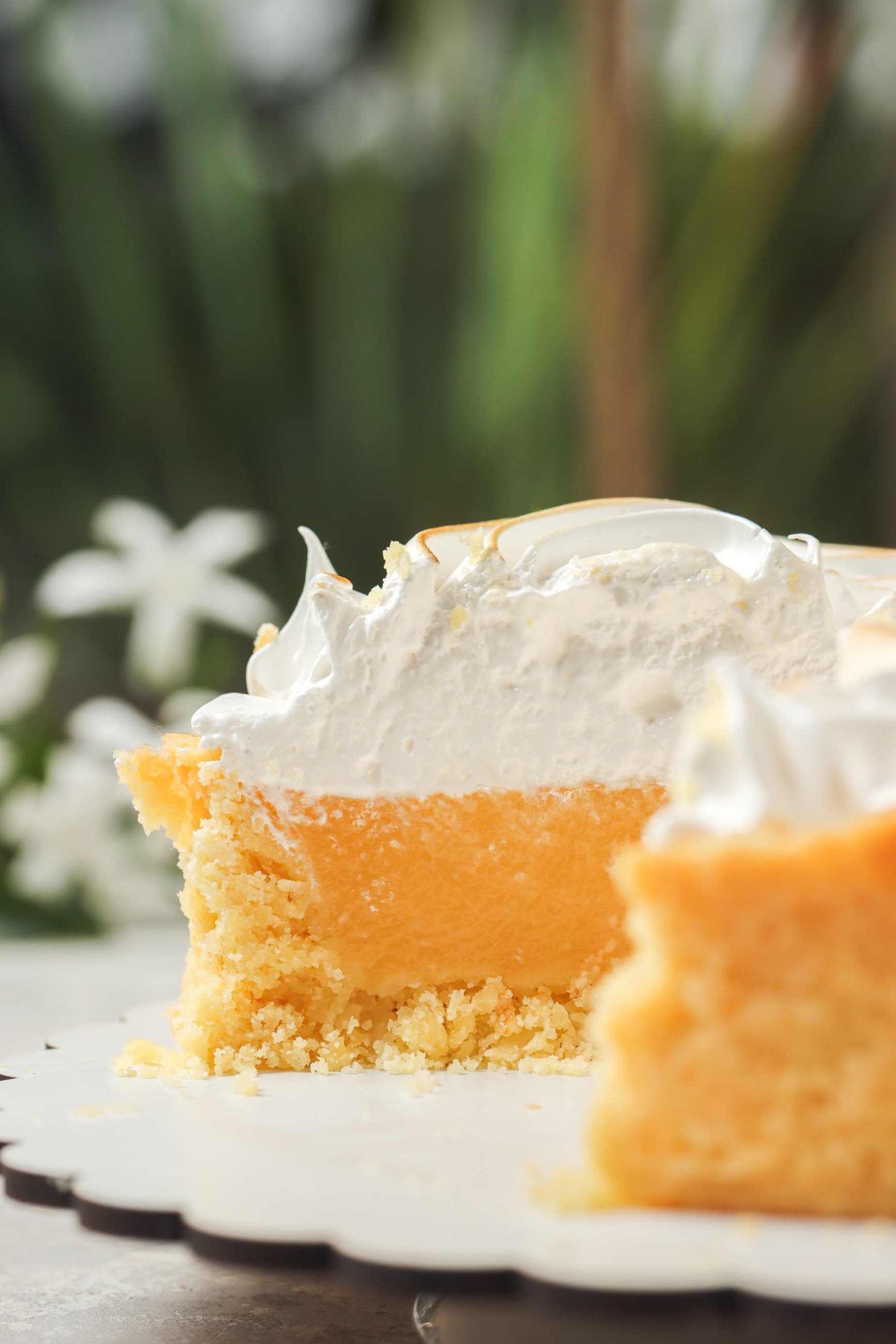 Lemon Pie - Miniatura 4